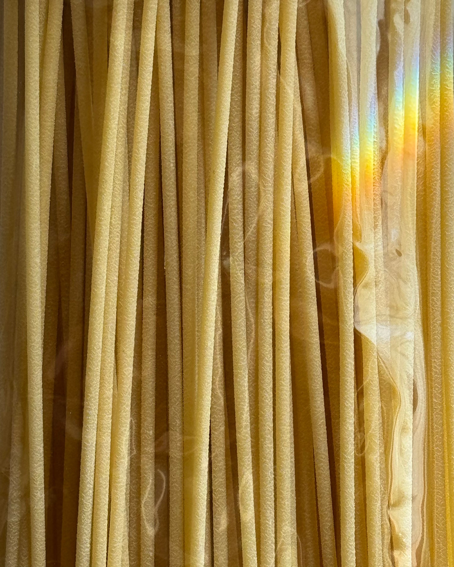 Gentile Organic Bucatini Pasta