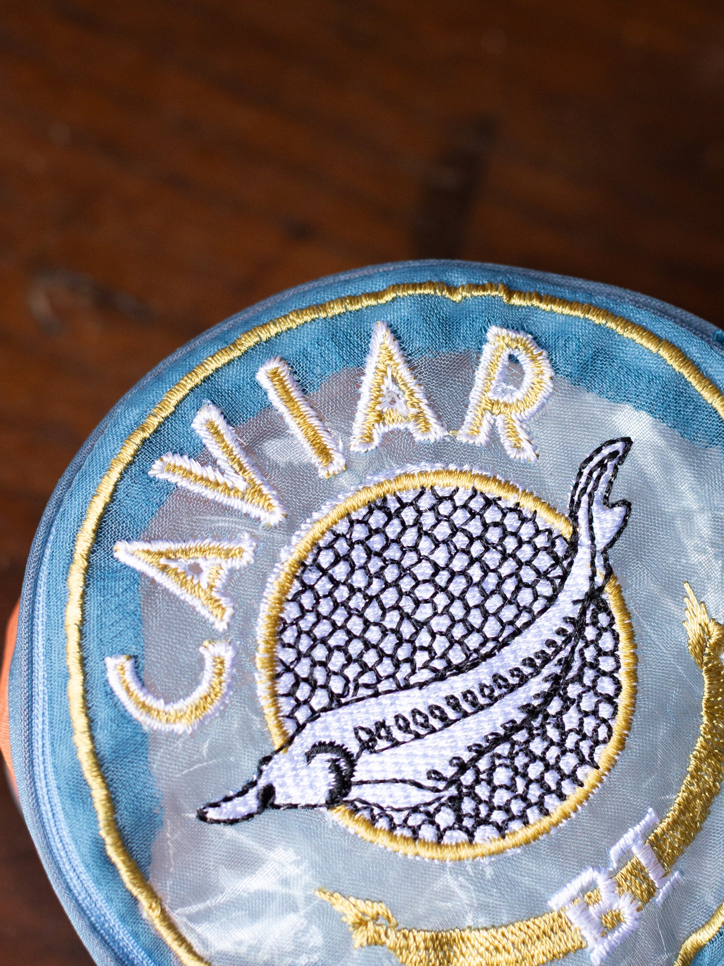 Caviar Embroidered Organza Pouch