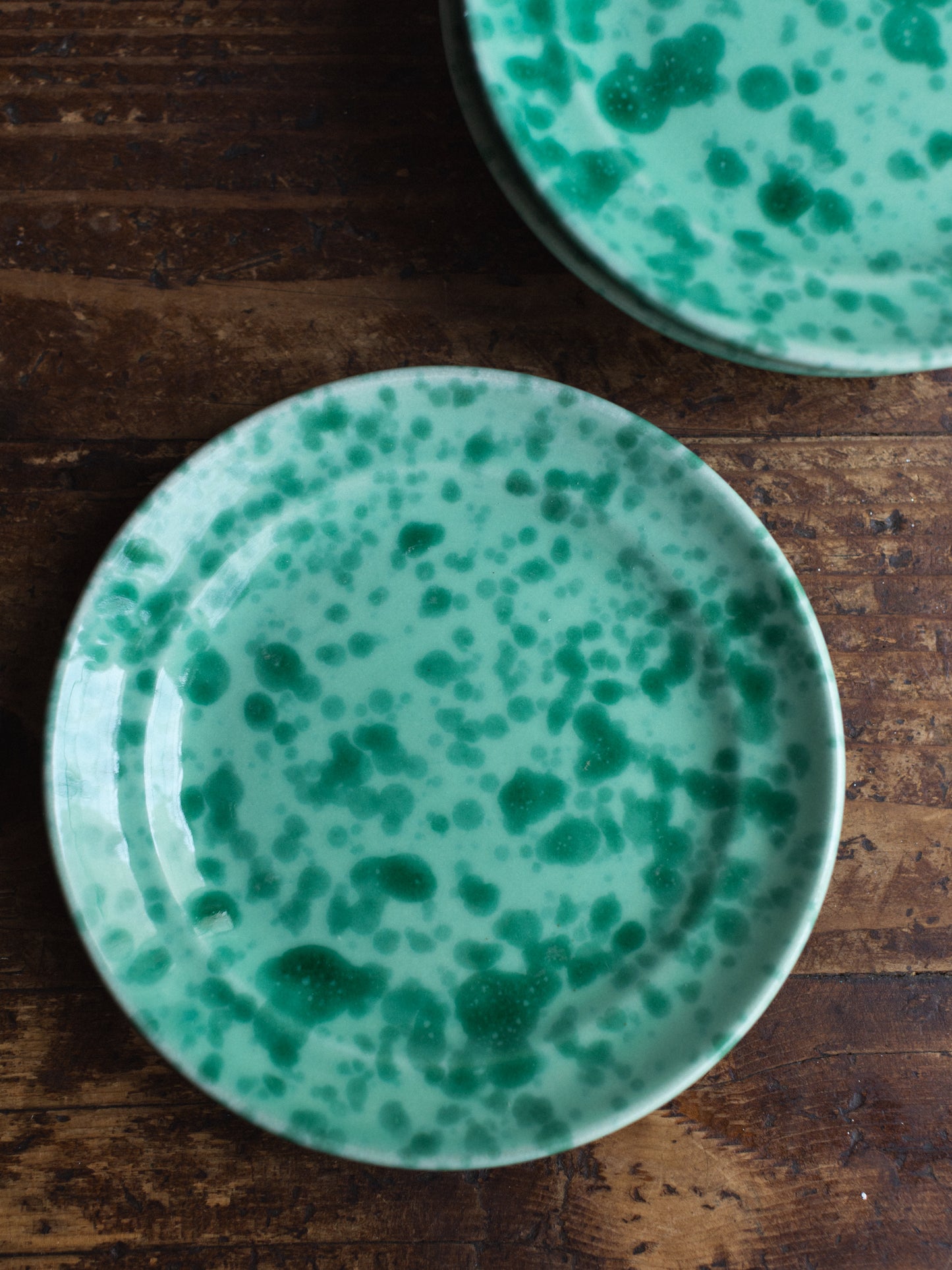 Ceramic Splatter Dinner Plate