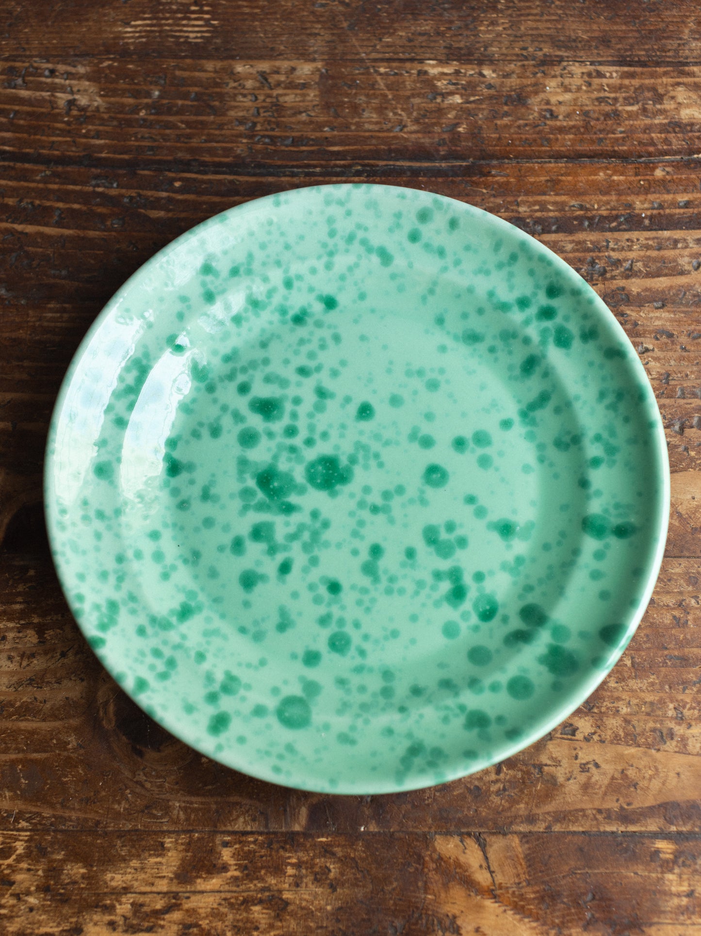 Ceramic Splatter Dinner Plate