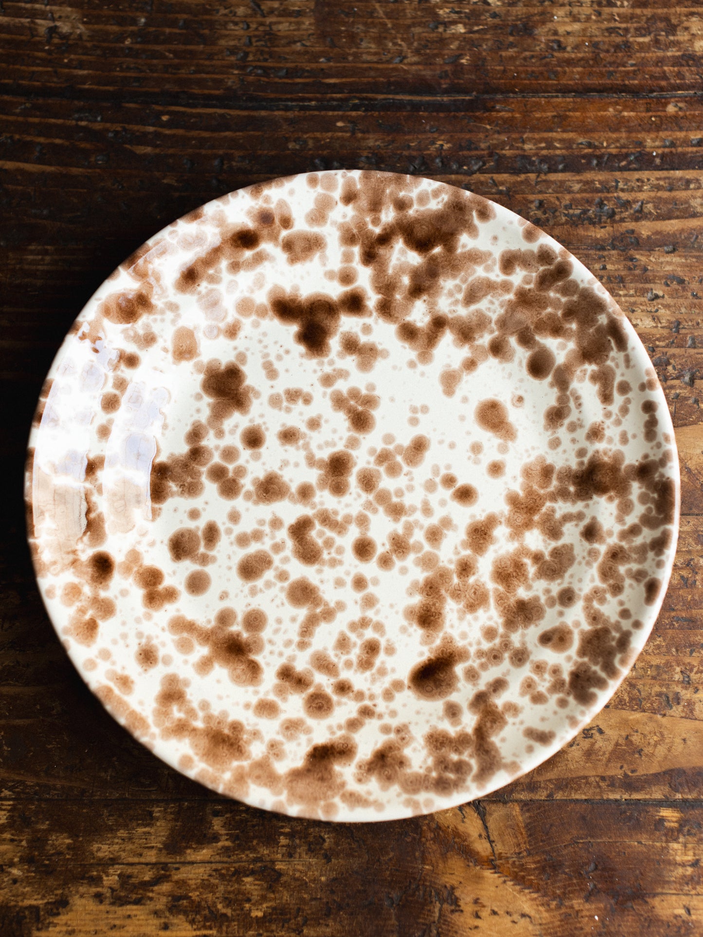Ceramic Splatter Dinner Plate