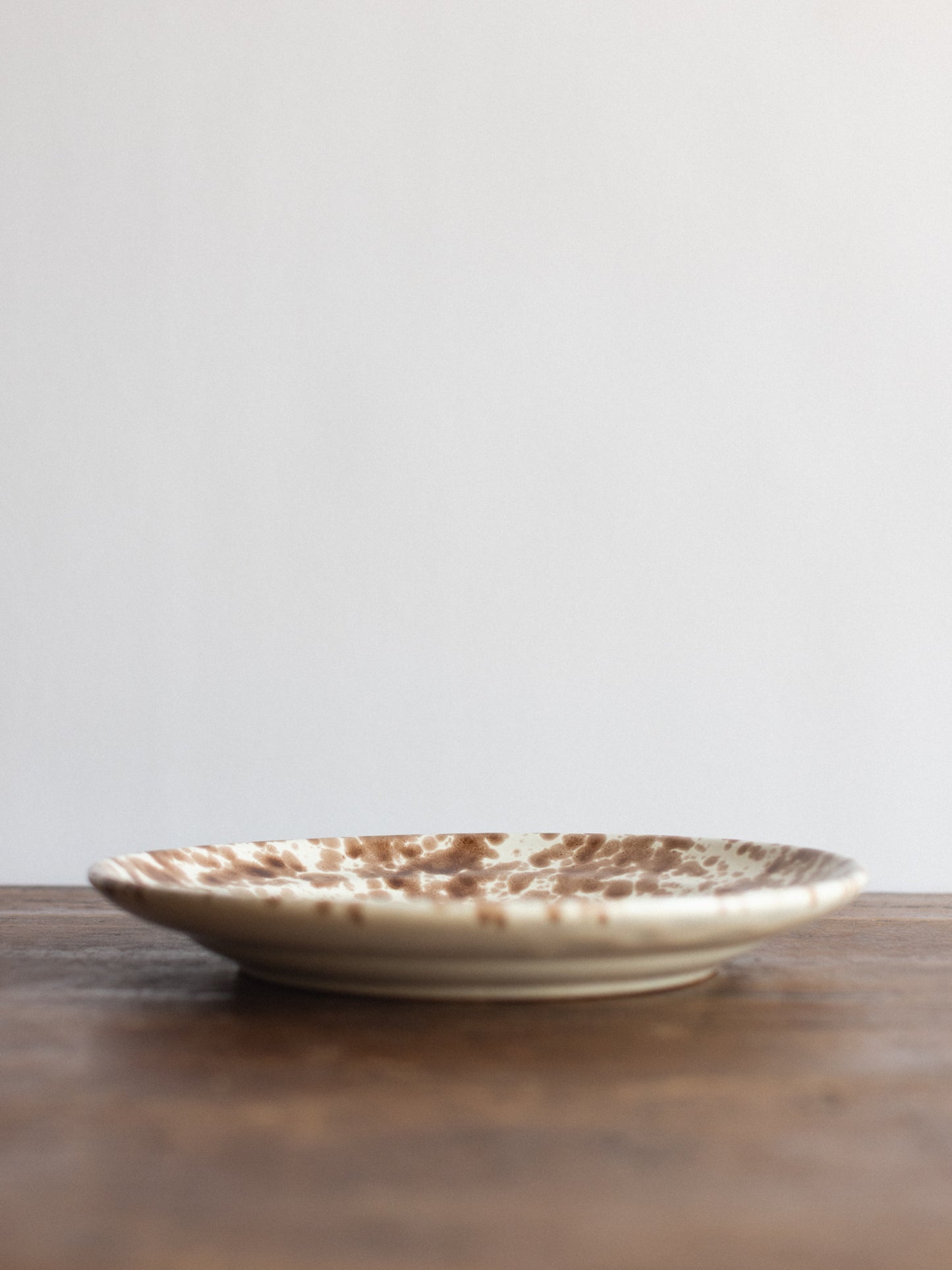 Ceramic Splatter Dinner Plate