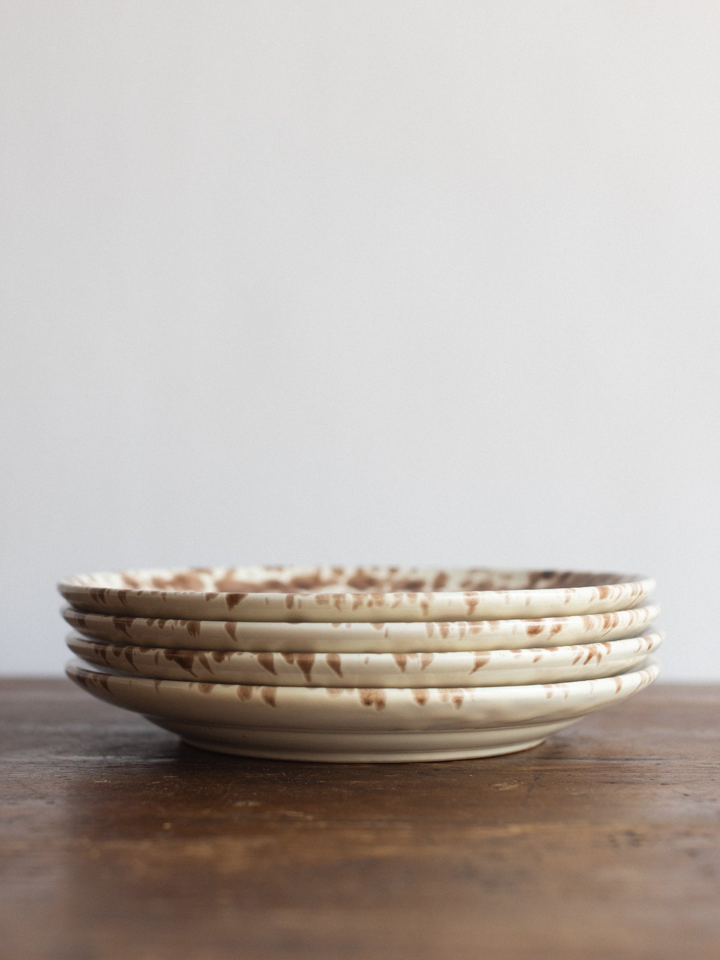 Ceramic Splatter Dinner Plate