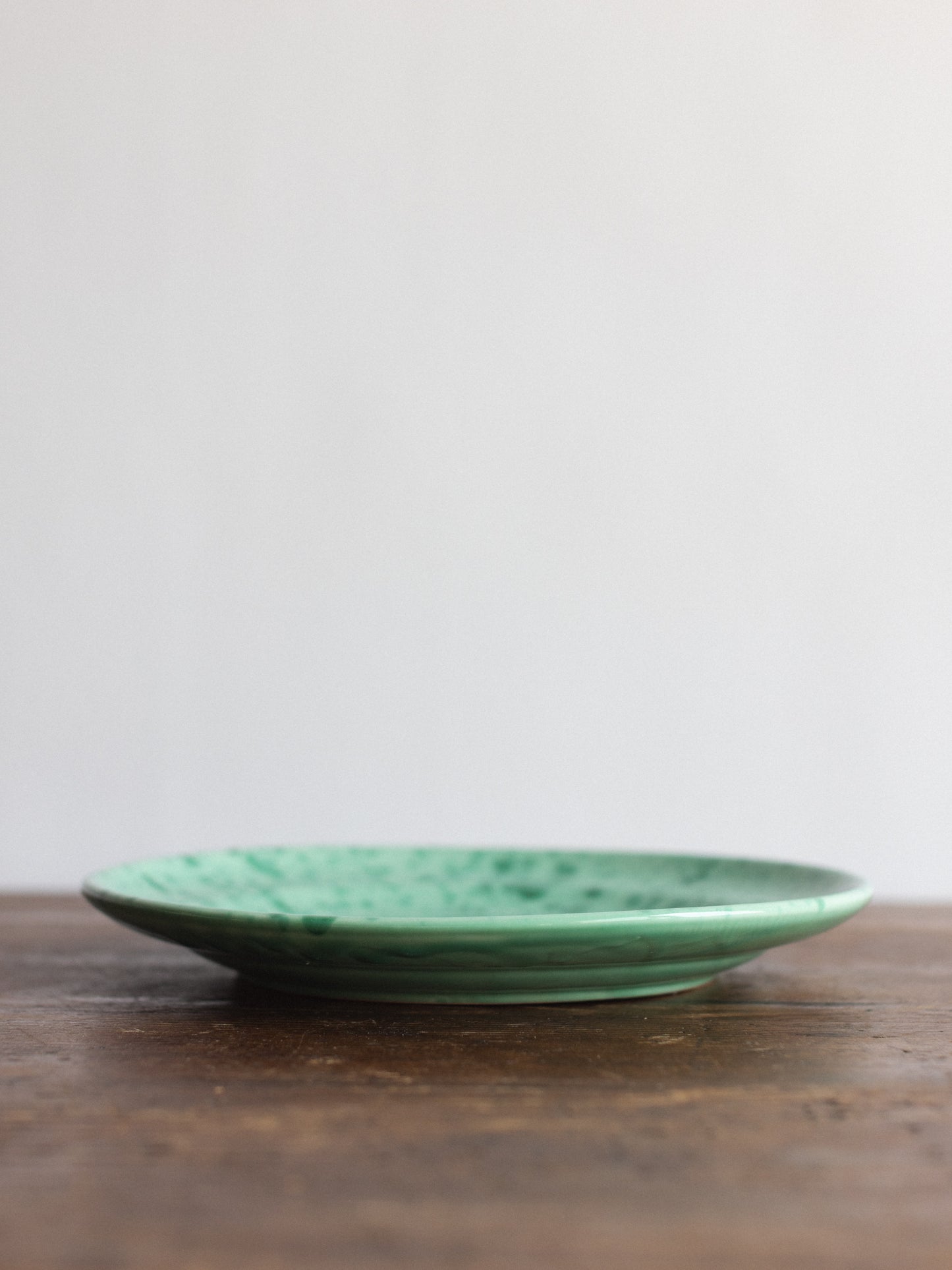 Ceramic Splatter Dinner Plate