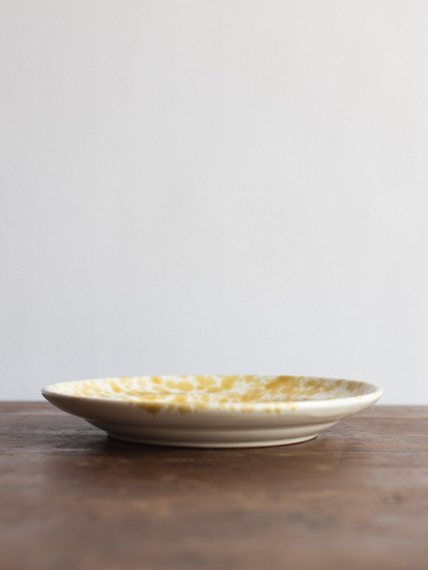 Ceramic Splatter Dinner Plate