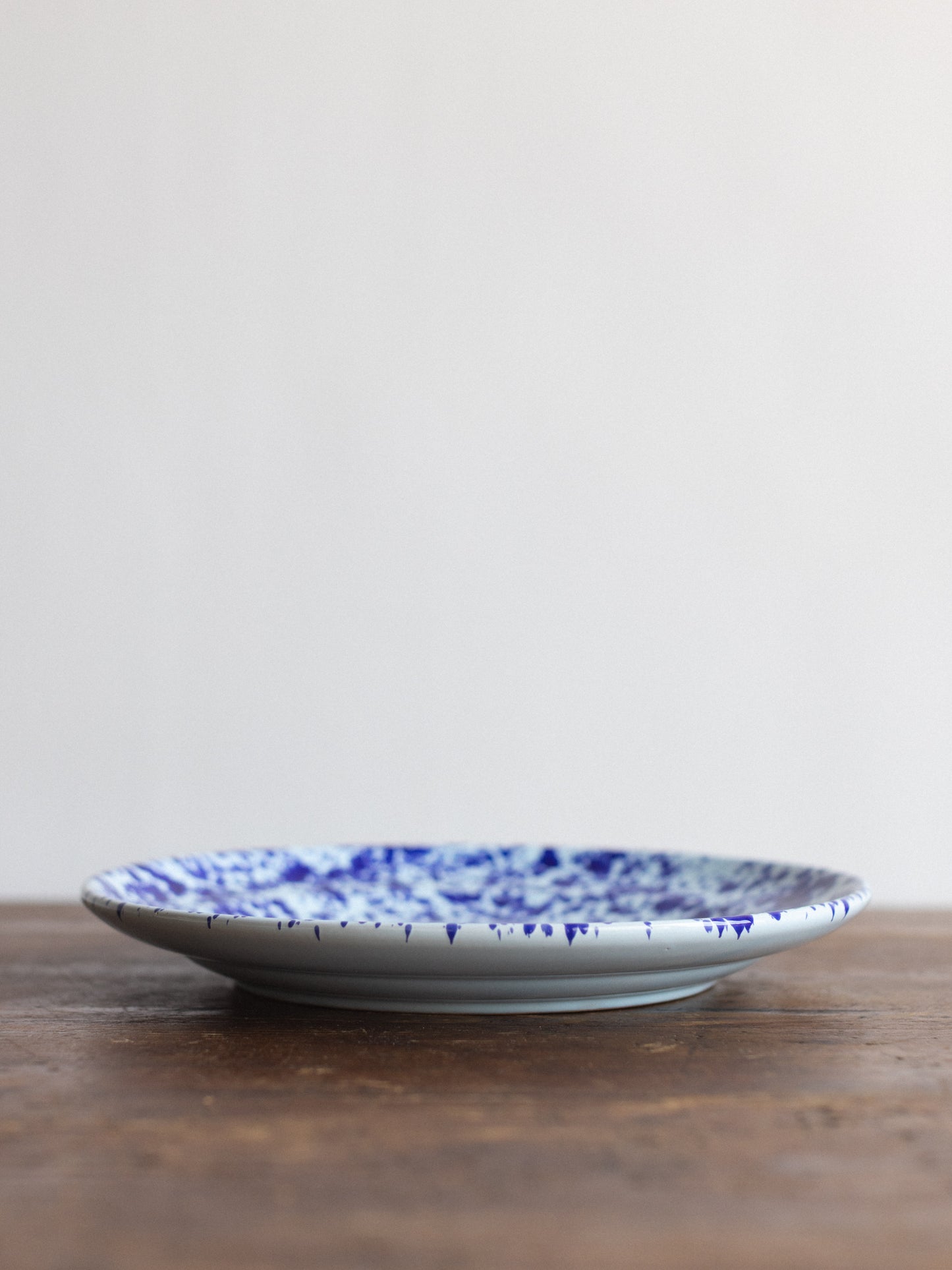 Ceramic Splatter Dinner Plate