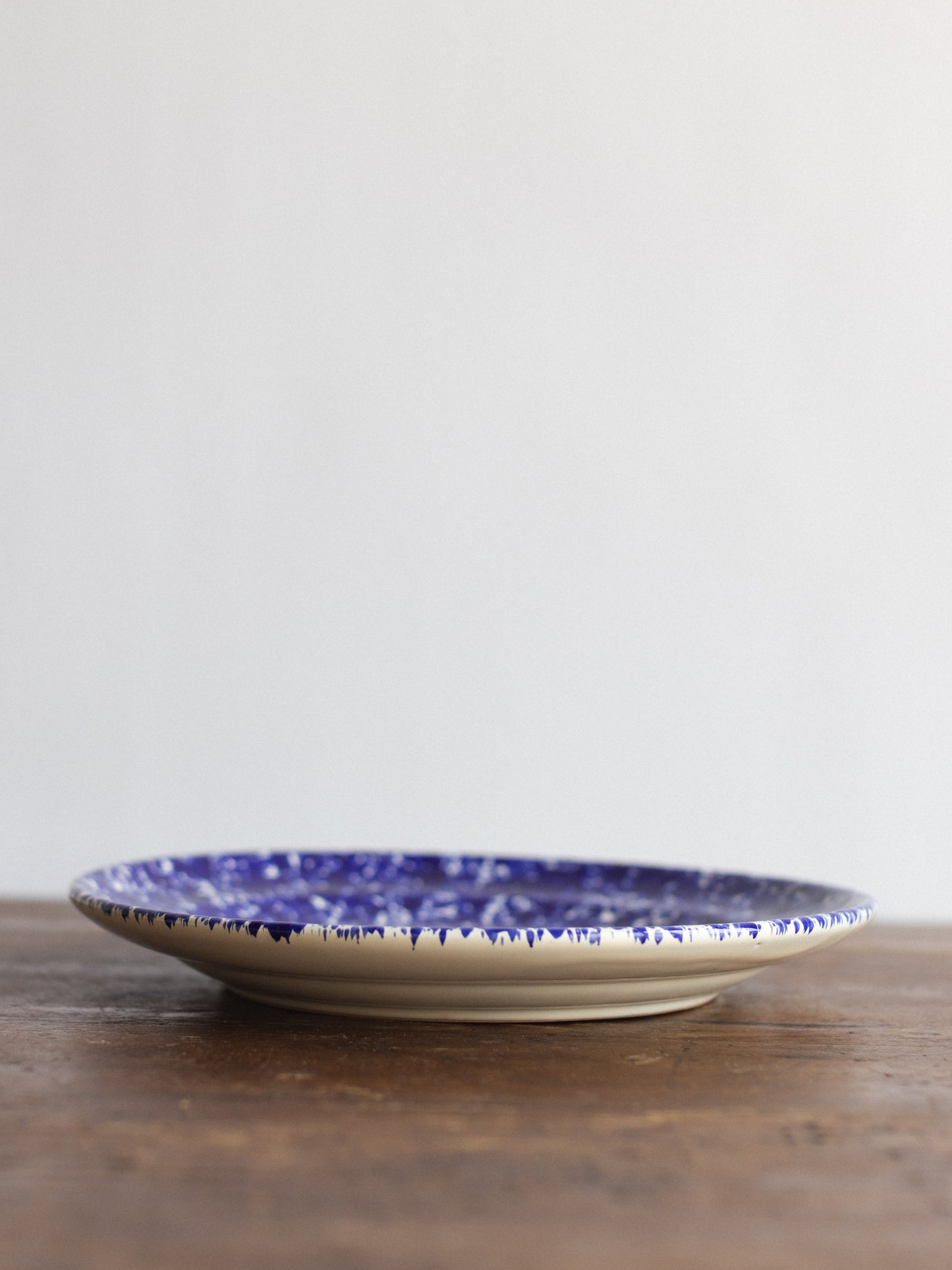 Ceramic Splatter Dinner Plate