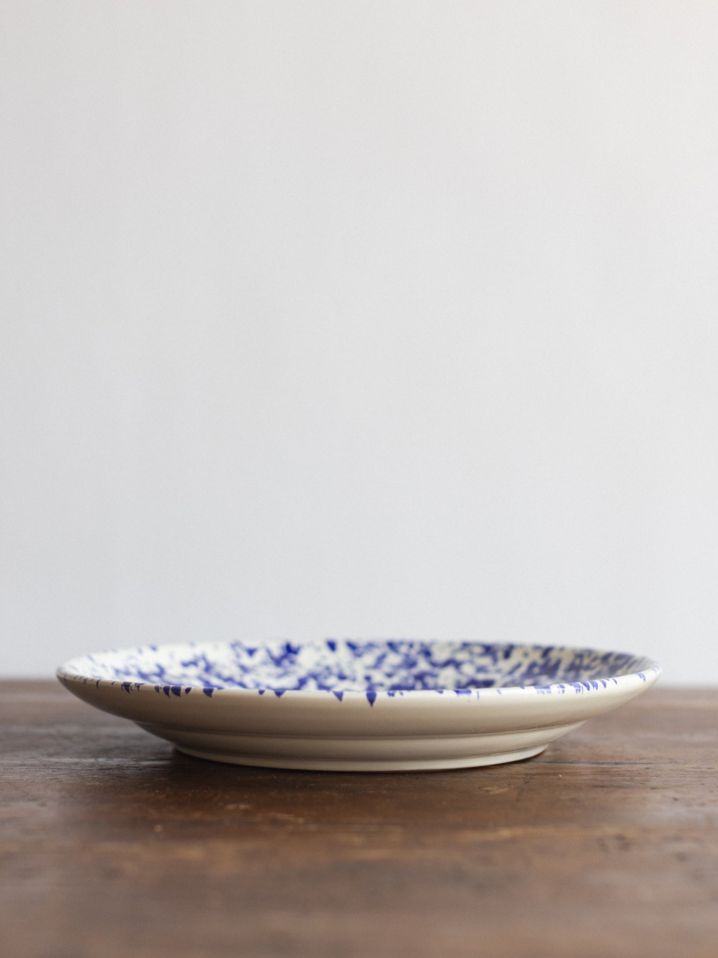 Ceramic Splatter Dinner Plate
