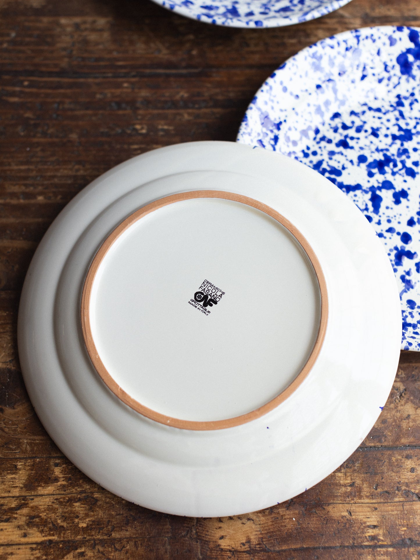 Ceramic Splatter Dinner Plate