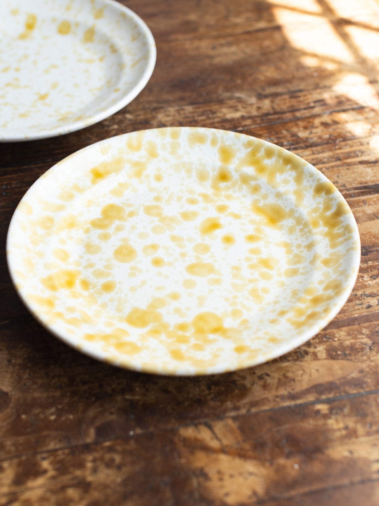 Ceramic Splatter Dinner Plate
