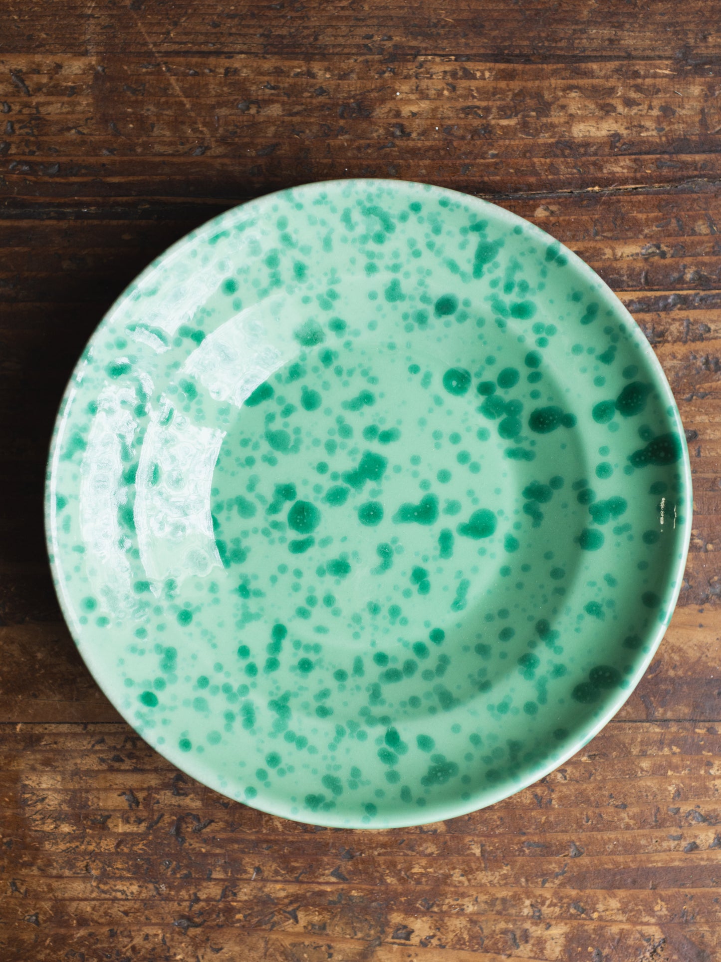 Ceramic Splatter Soup/Pasta Plate