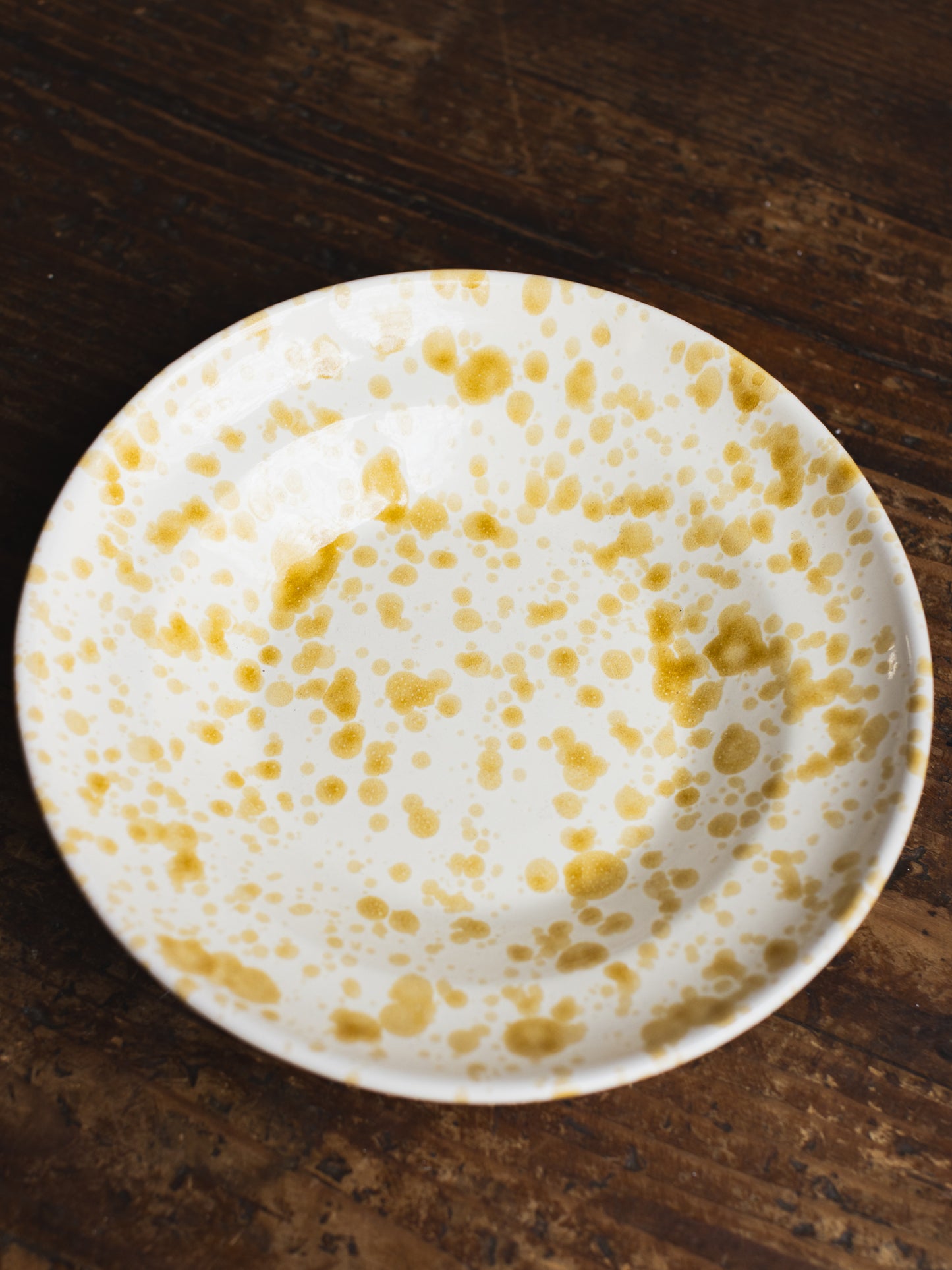 Ceramic Splatter Soup/Pasta Plate