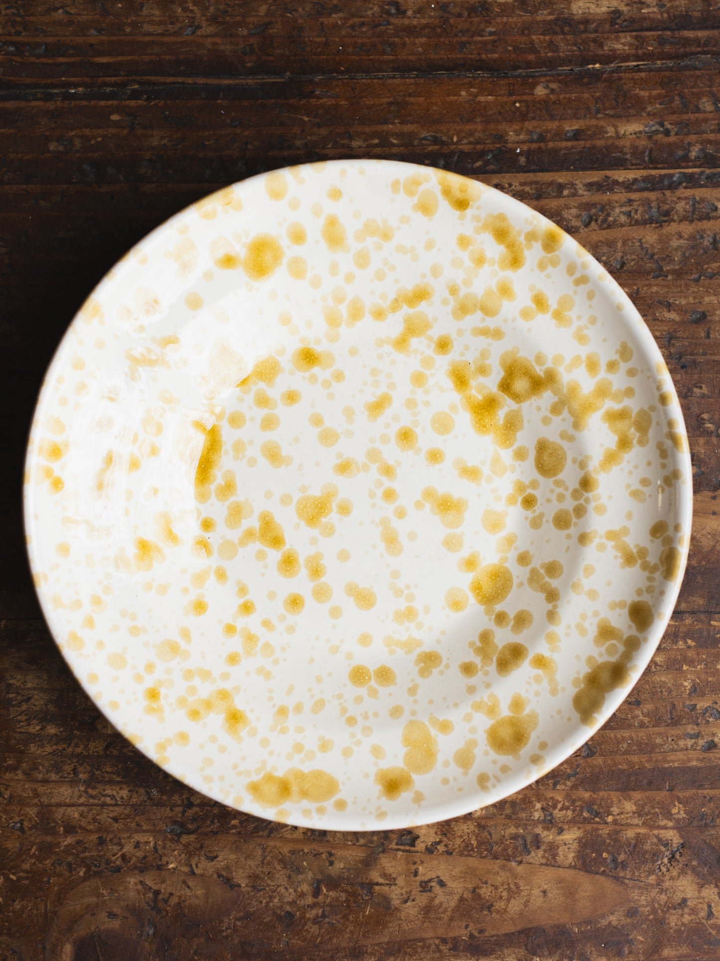 Ceramic Splatter Soup/Pasta Plate