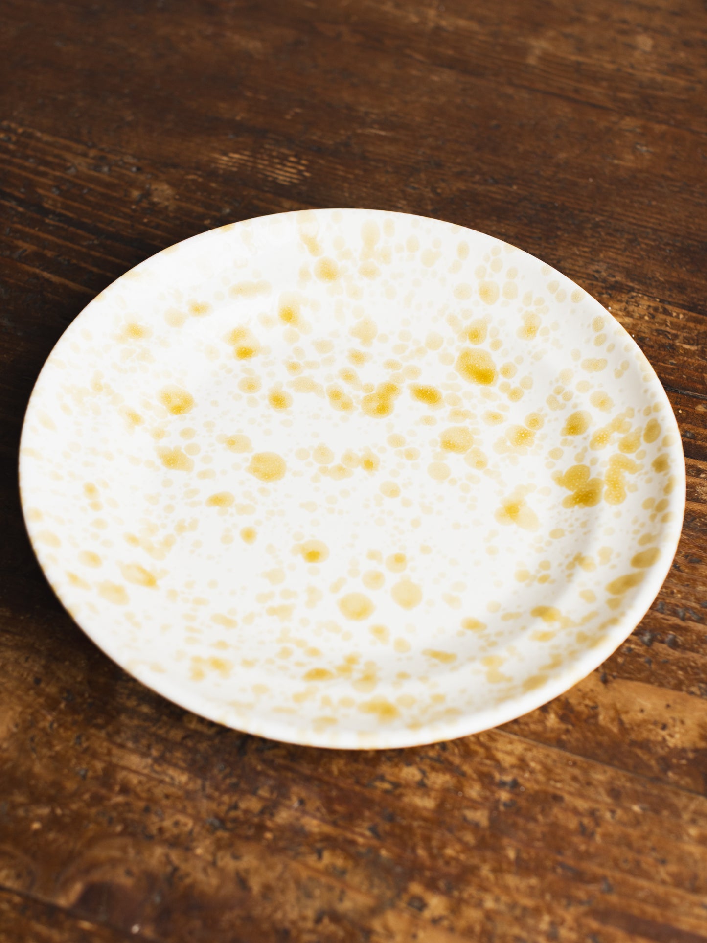 Ceramic Splatter Dinner Plate