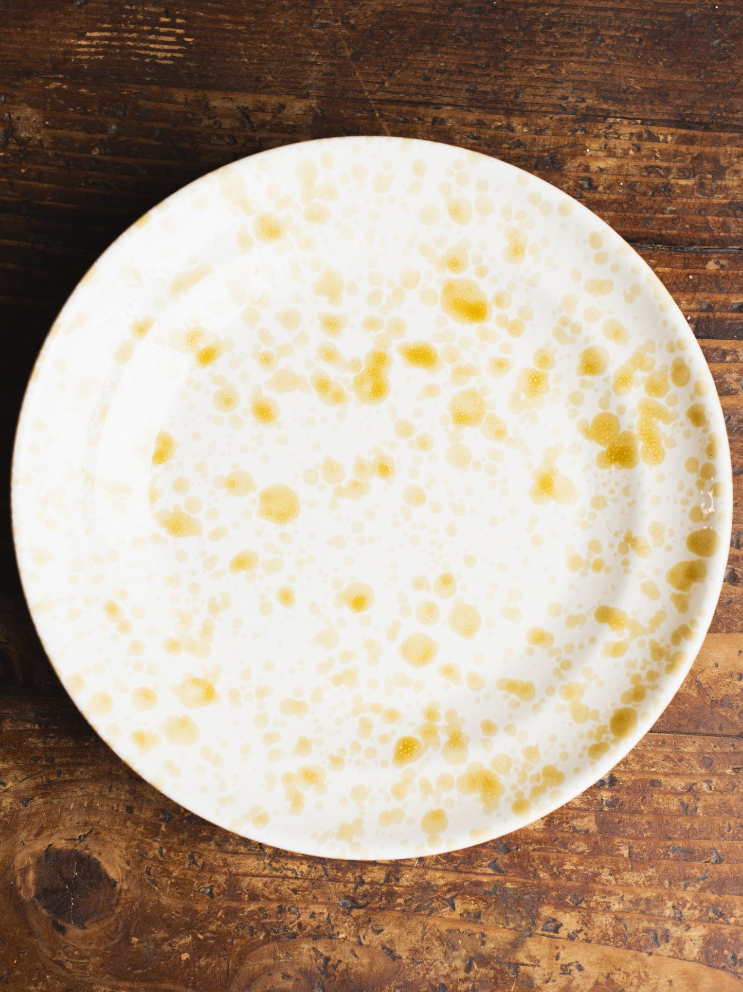 Ceramic Splatter Dinner Plate
