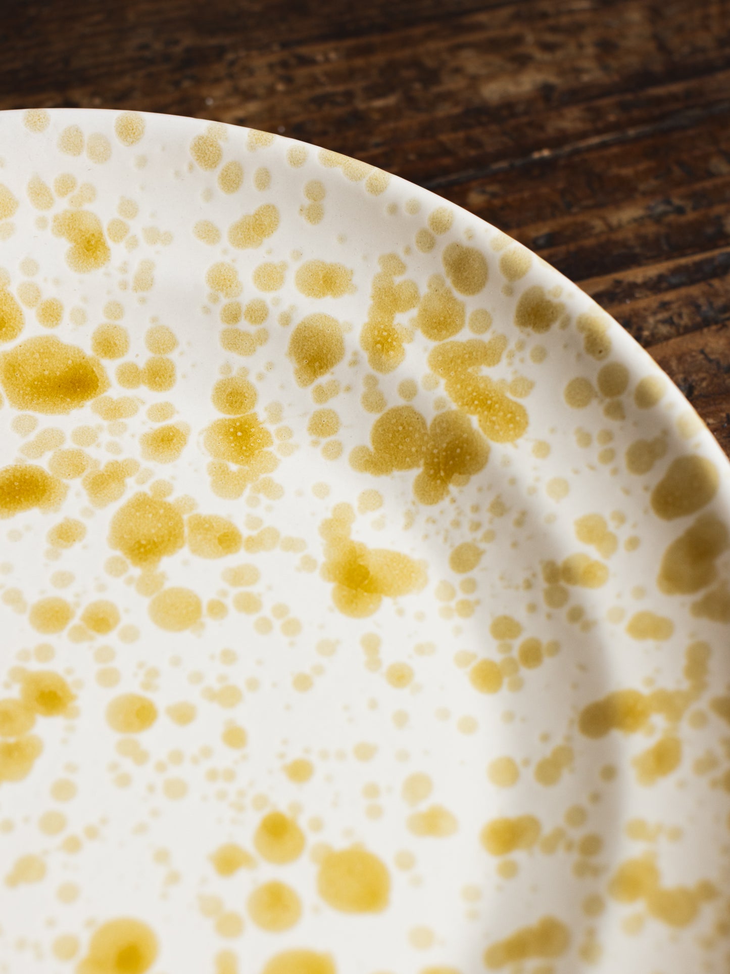 Ceramic Splatter Dinner Plate