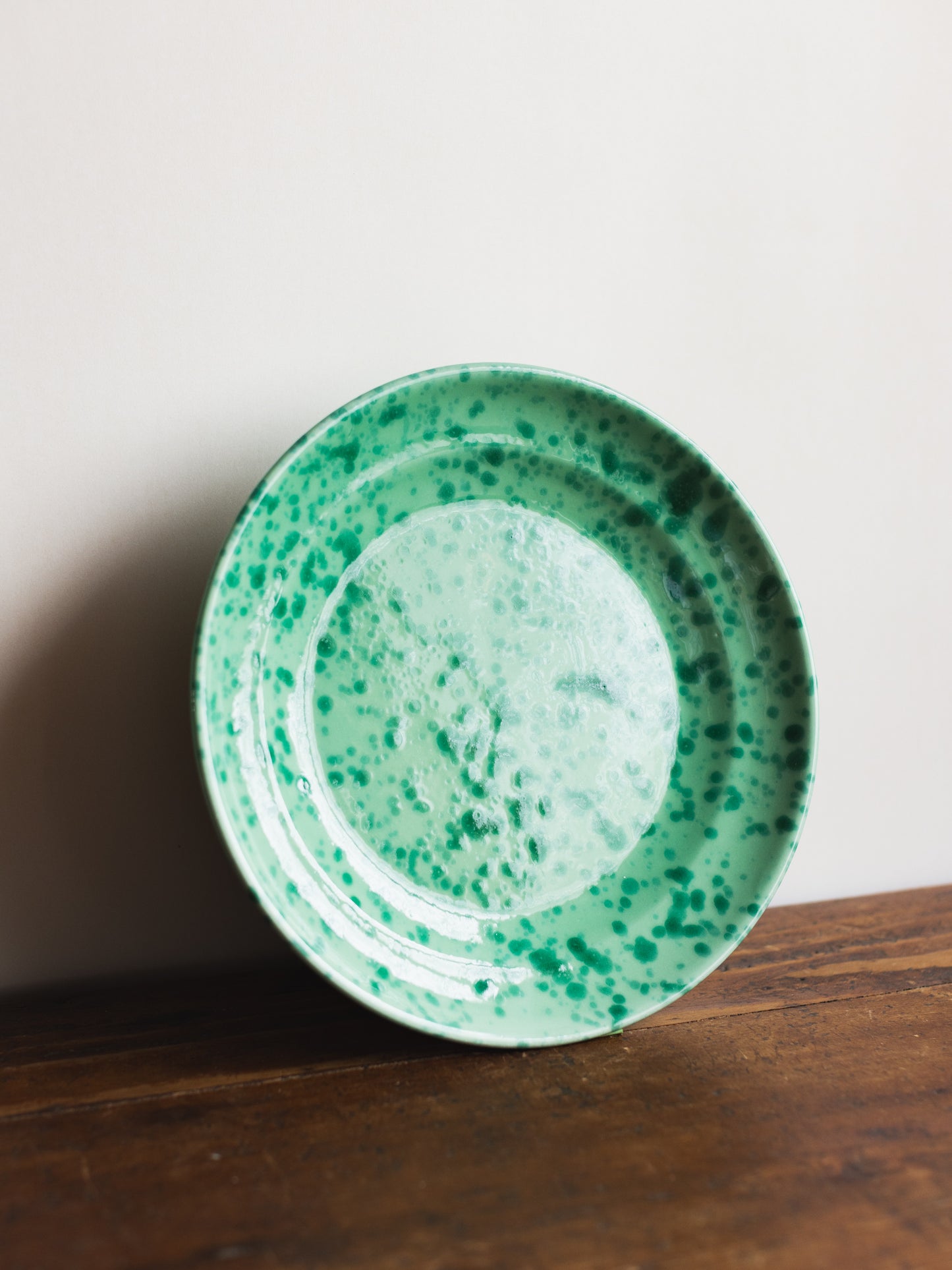 Ceramic Splatter Dinner Plate