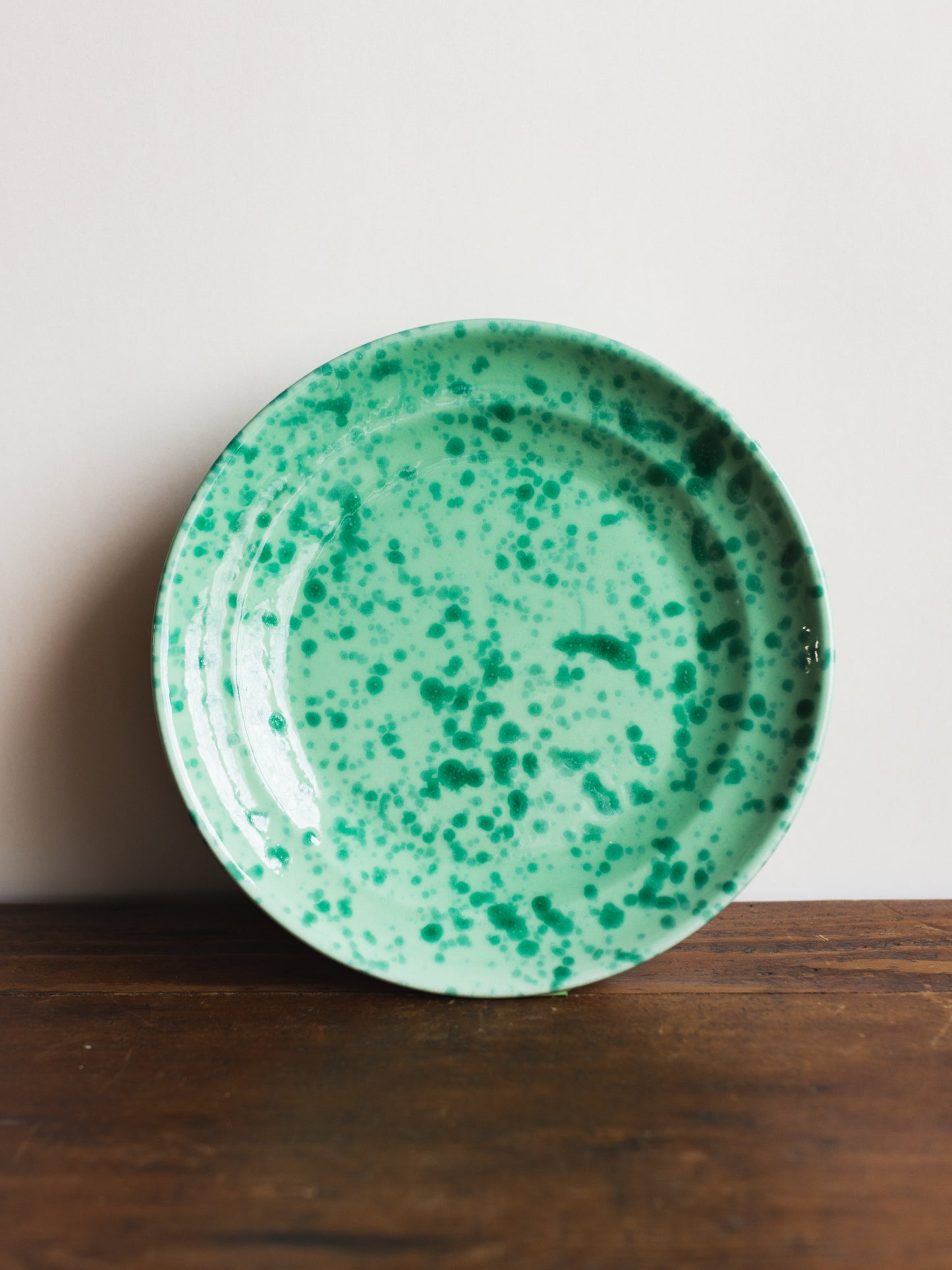 Ceramic Splatter Dinner Plate