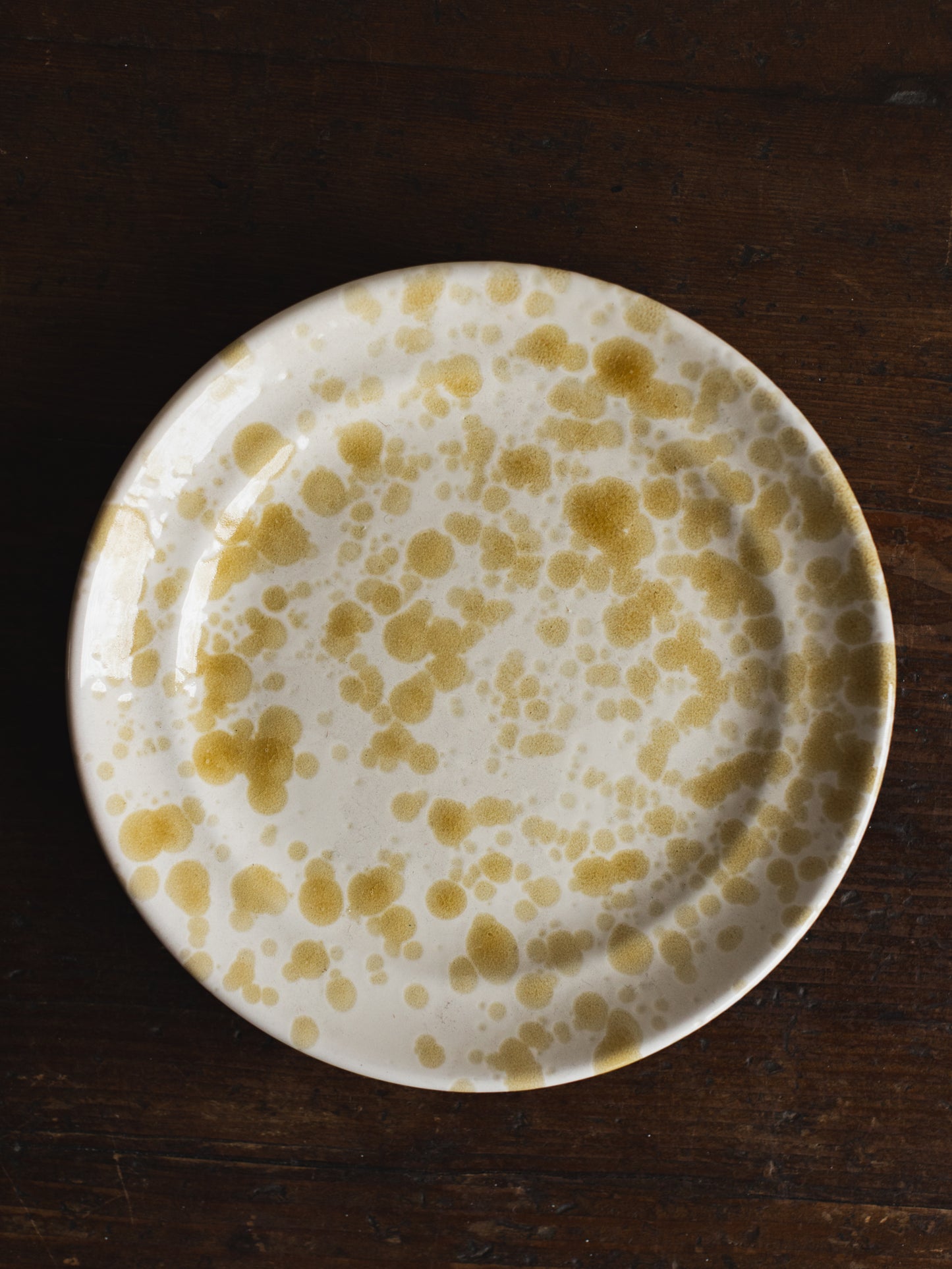 Ceramic Splatter Fruit Plate