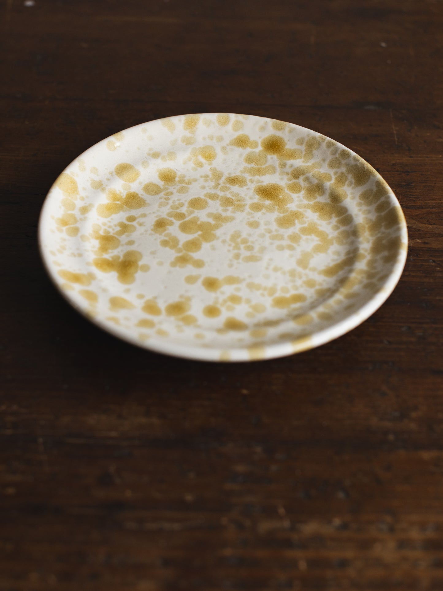 Ceramic Splatter Fruit Plate