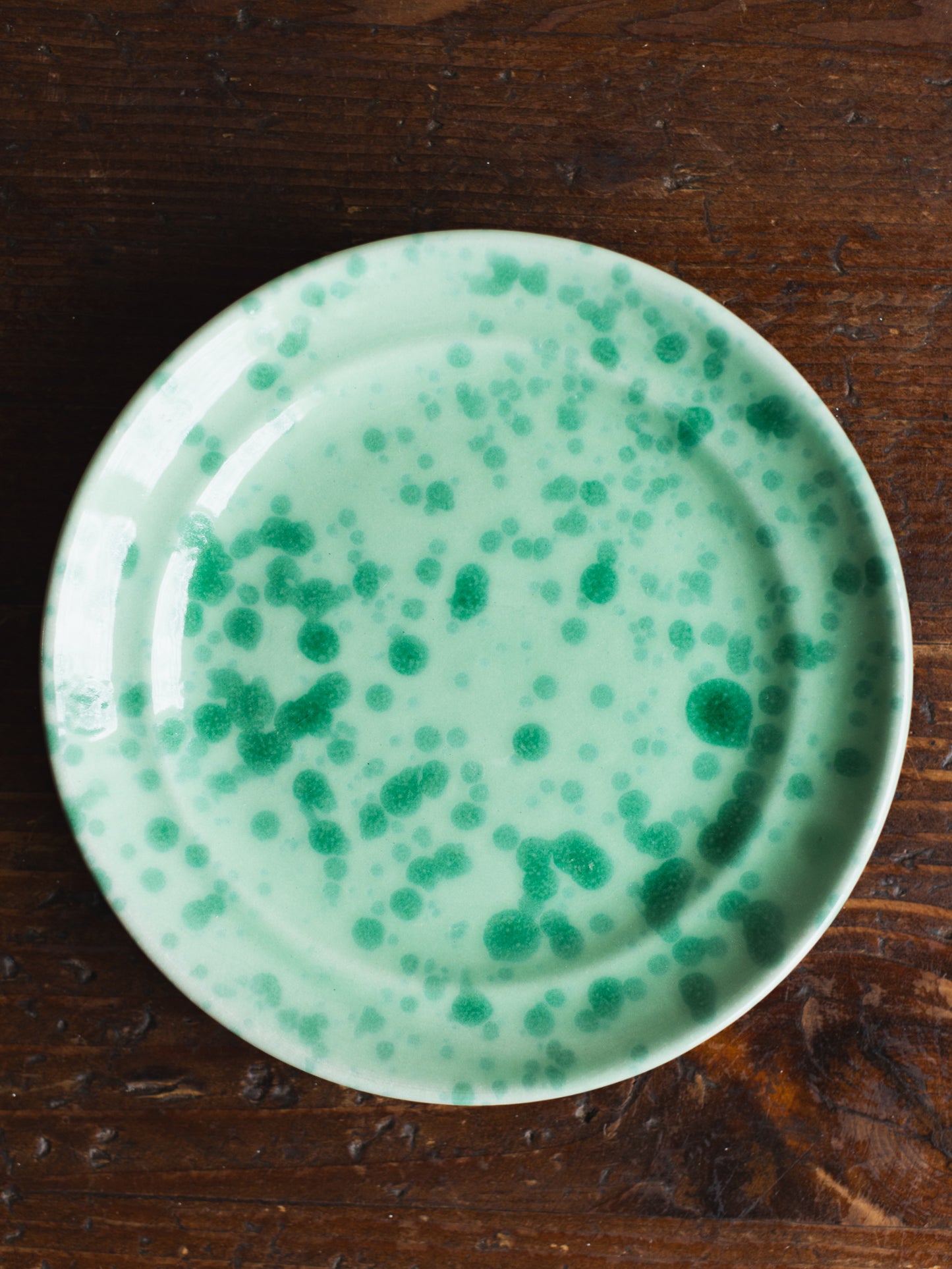 Ceramic Splatter Fruit Plate