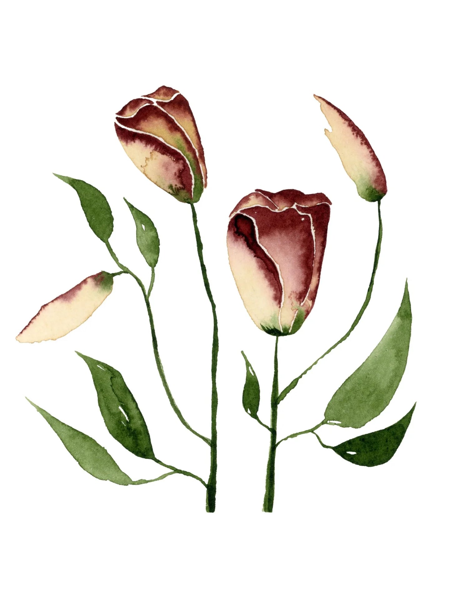 Dusty Lisianthus Greeting Card