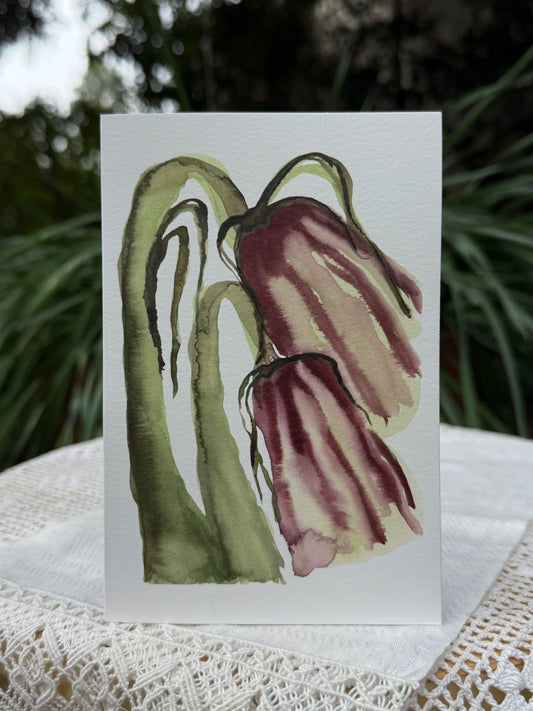 Greeting Cards