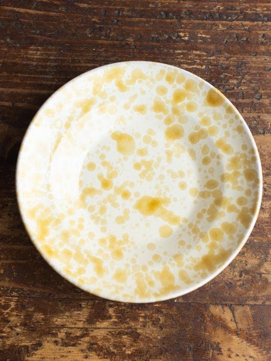 Ceramic Splatter Soup/Pasta Plate