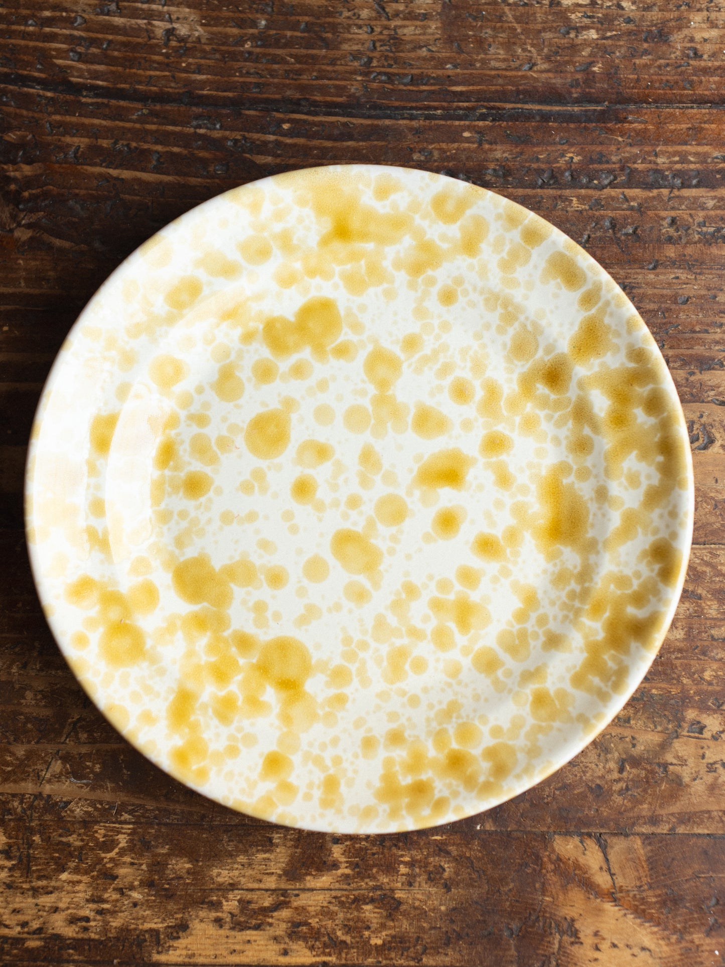 Ceramic Splatter Dinner Plate