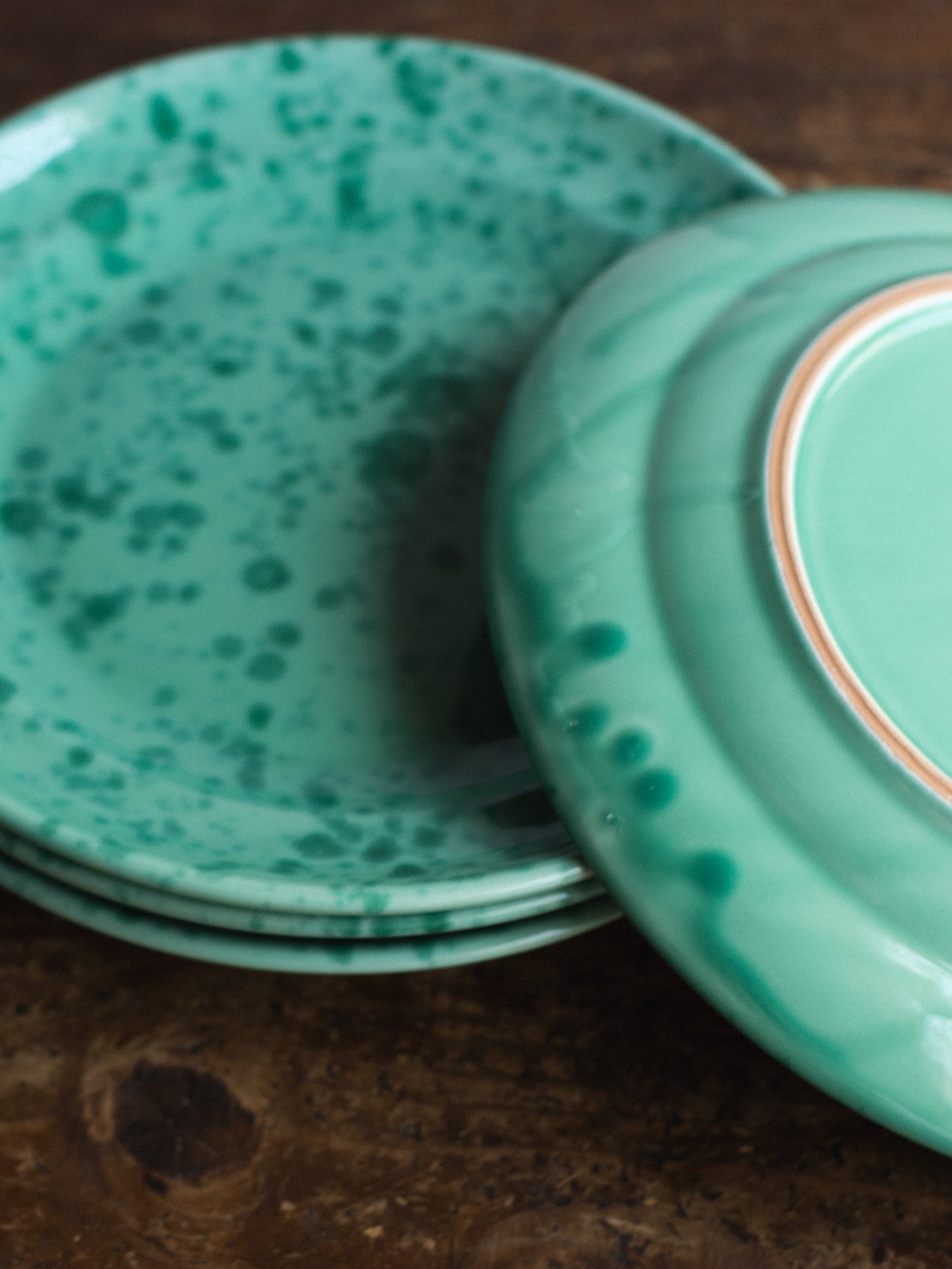 Ceramic Splatter Dinner Plate