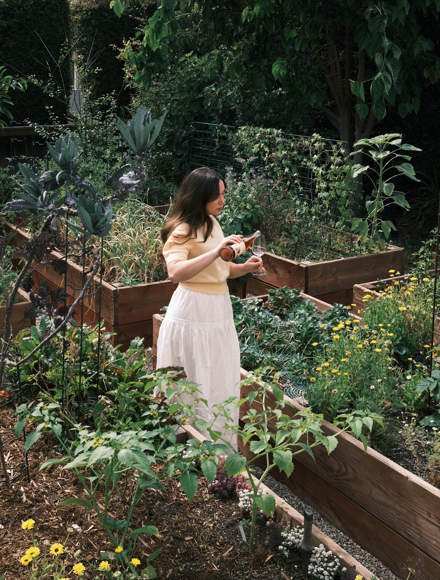 2025 ‘My Fruit Trees’ Red Wine Blend by @carmeninthegarden