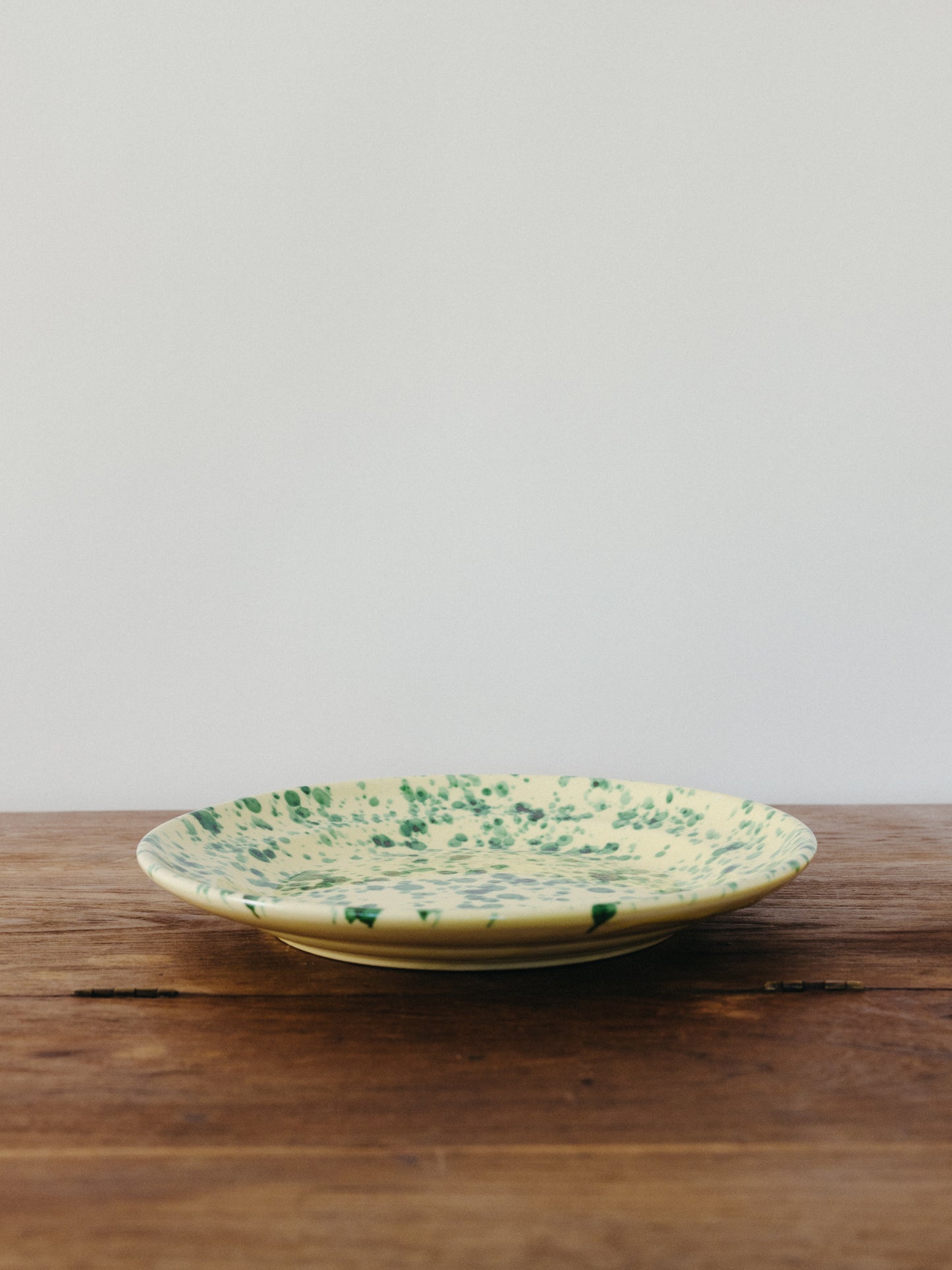 Ceramic Splatter Dinner Plate
