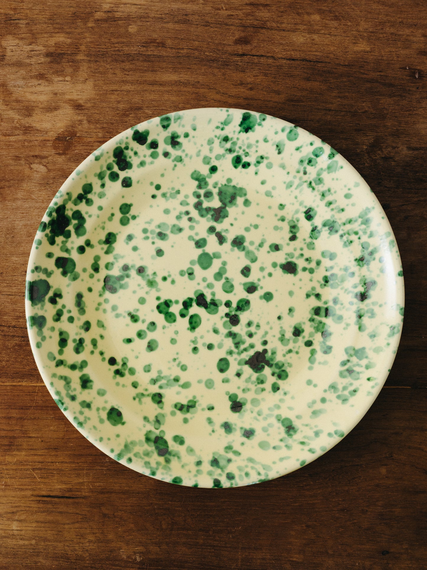 Ceramic Splatter Dinner Plate