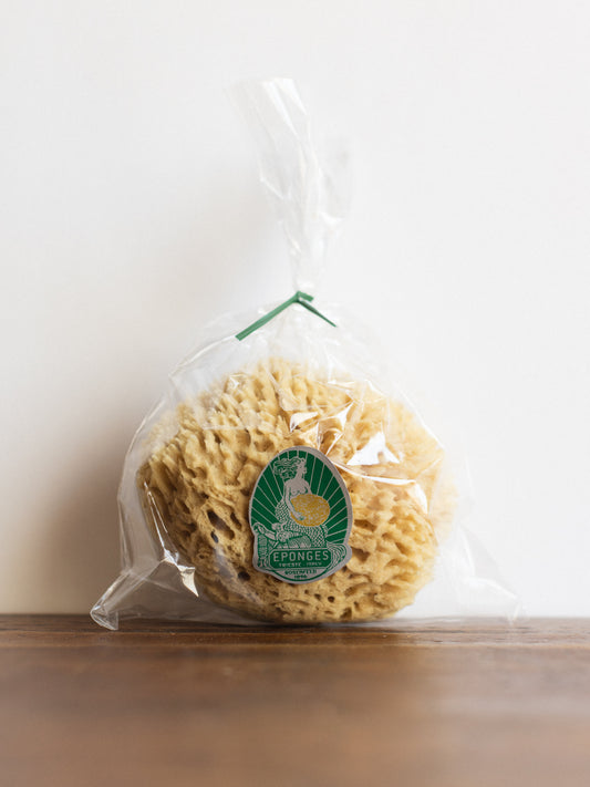Spugnificio Rosenfeld Atlantic Wool Sponge