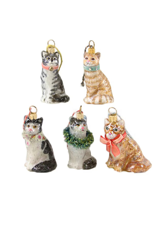 Kitten 5 Asst Ornament