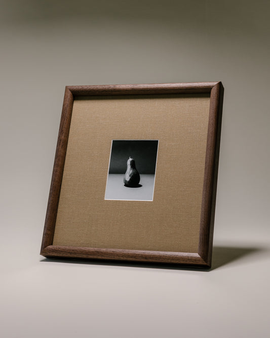 Original Framed Print