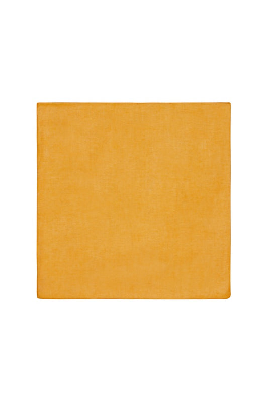 Lisa Corti Organza Cotton Napkin (Set of 4)