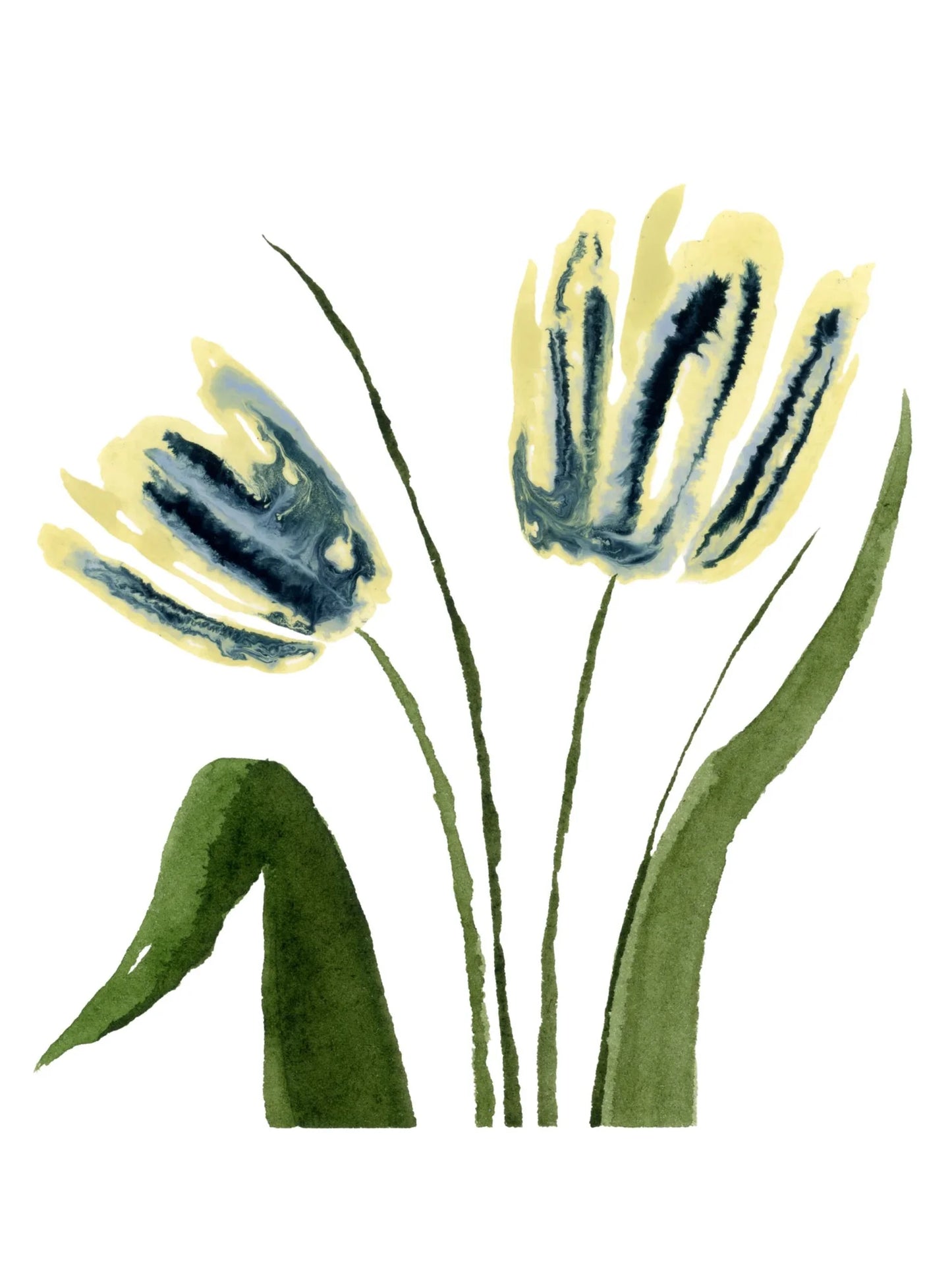 Butter Tulips Greeting Card